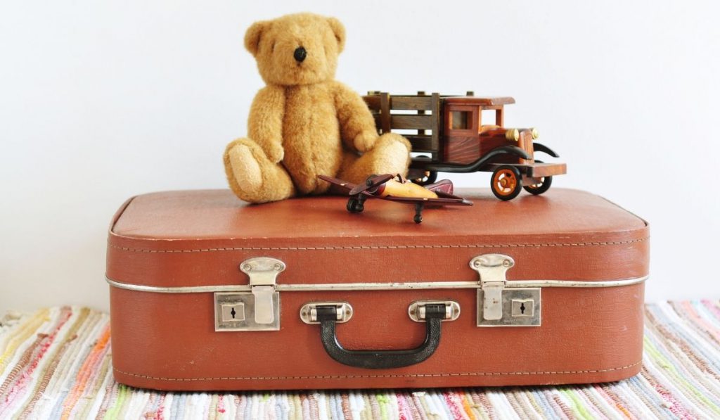 bear on top of a suitcase